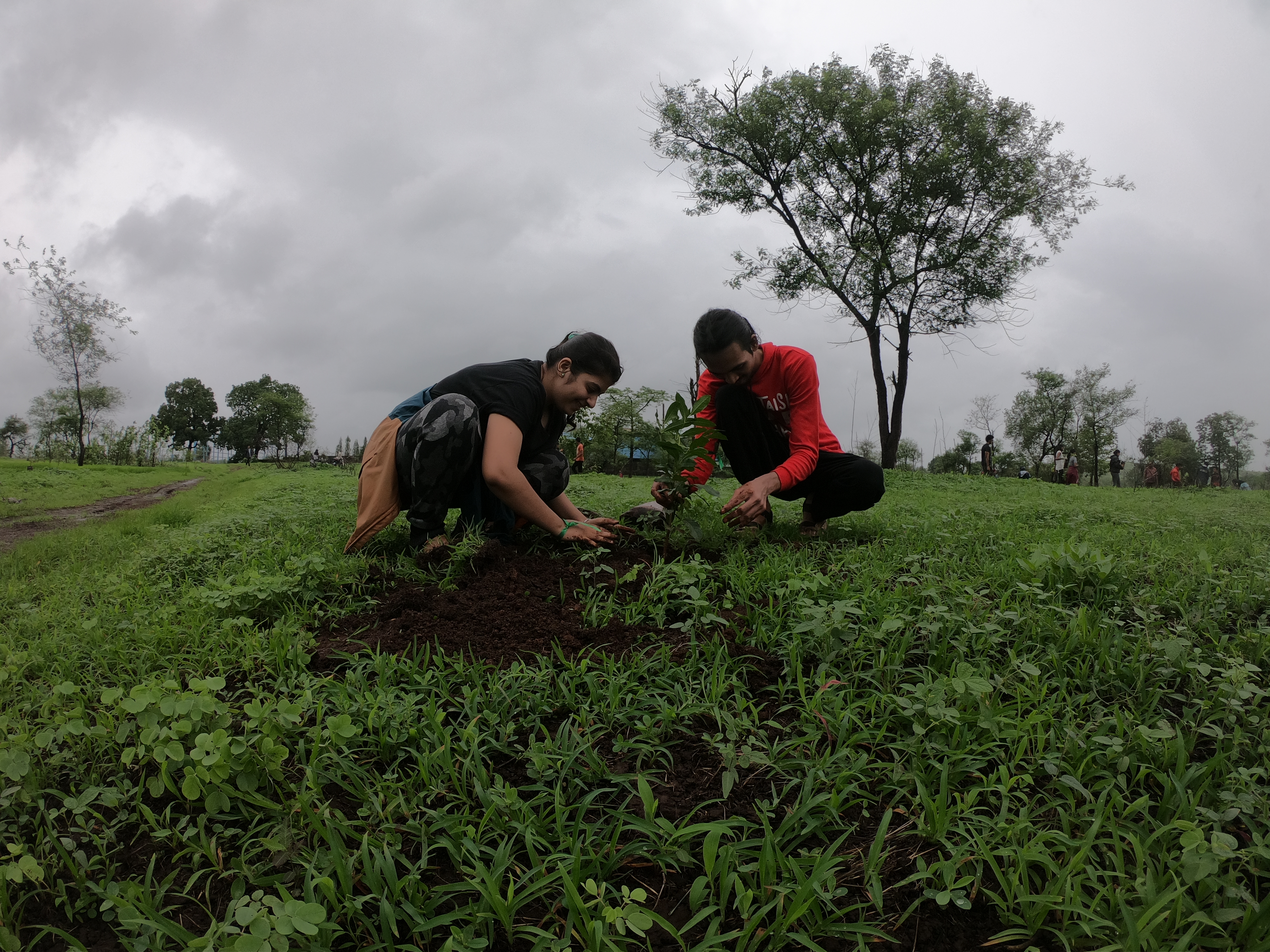 Junoon volunteers planting a sapling