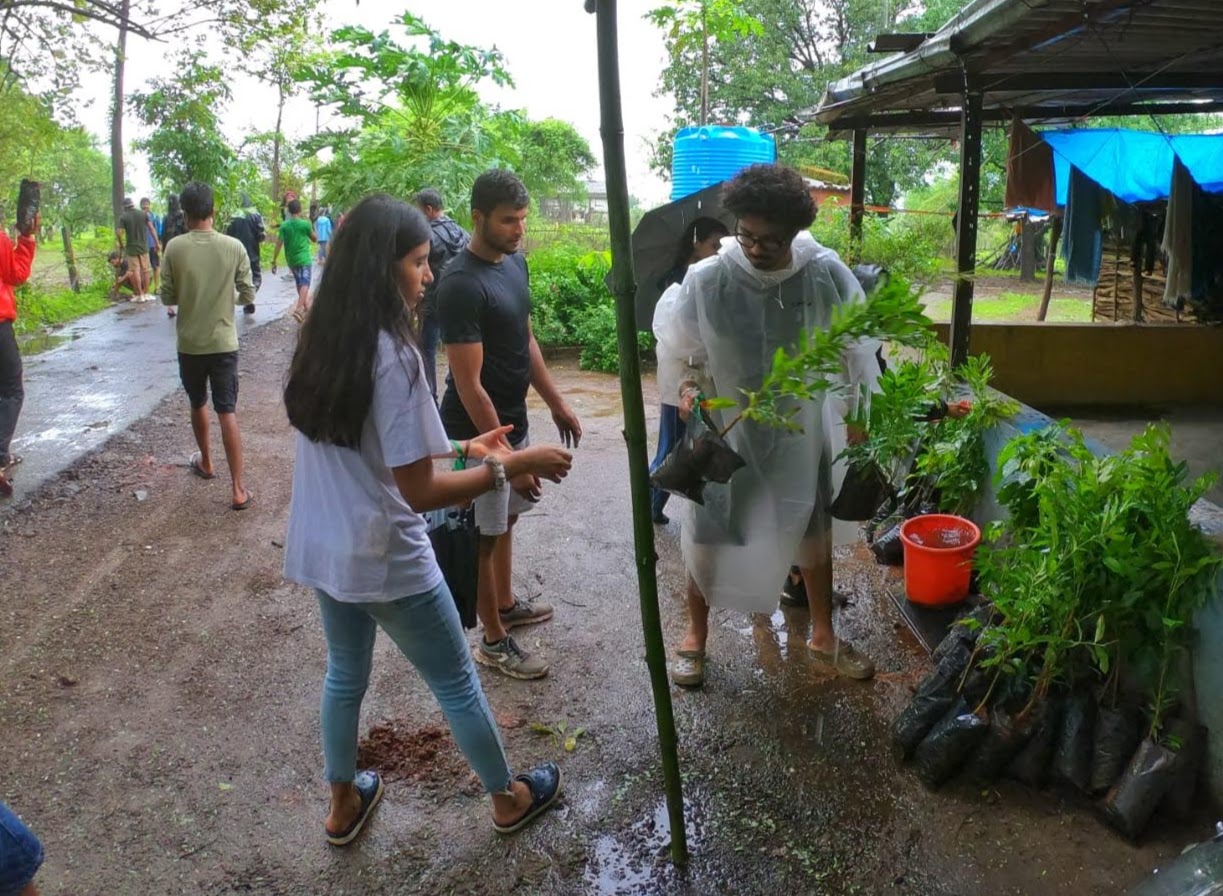 Volunteers going door-to-door and planting saplings